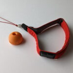 Montaje Chouka Balls